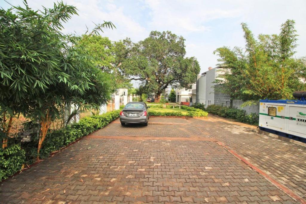 La Flora Cloud 9, * Yelagiri
