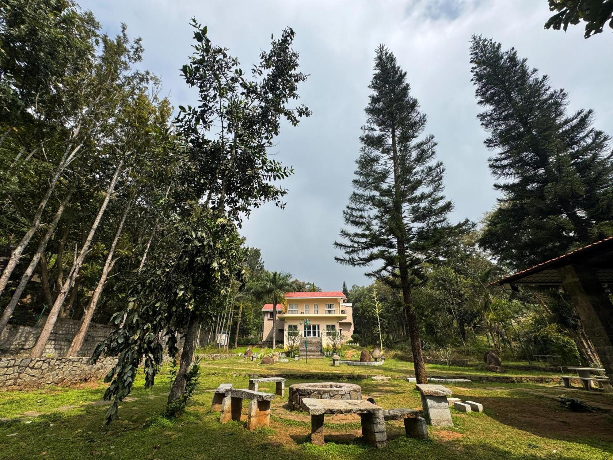 The Temple Tree