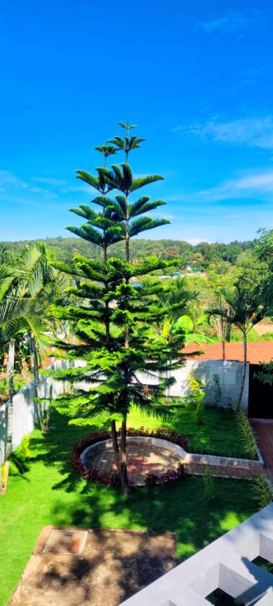 Cloud9villa