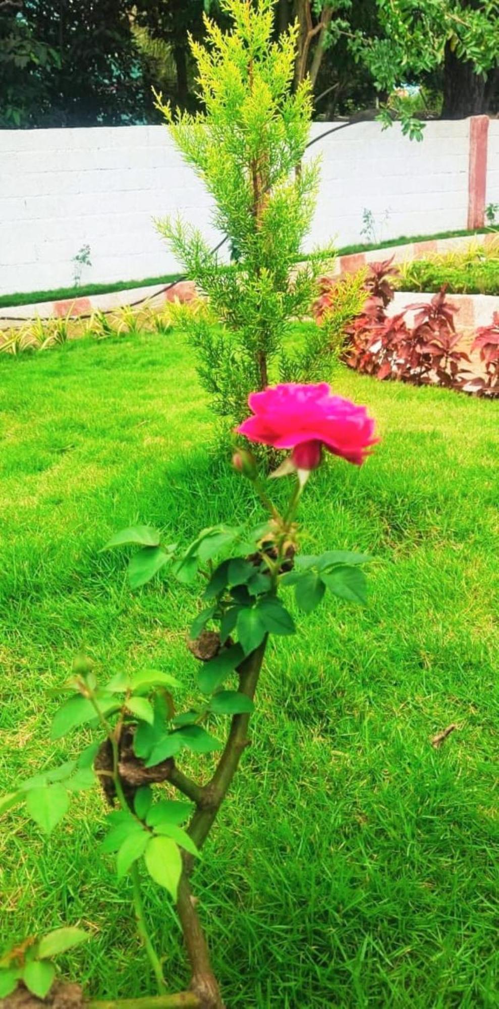 Holiday home Cloud9villa Yelagiri