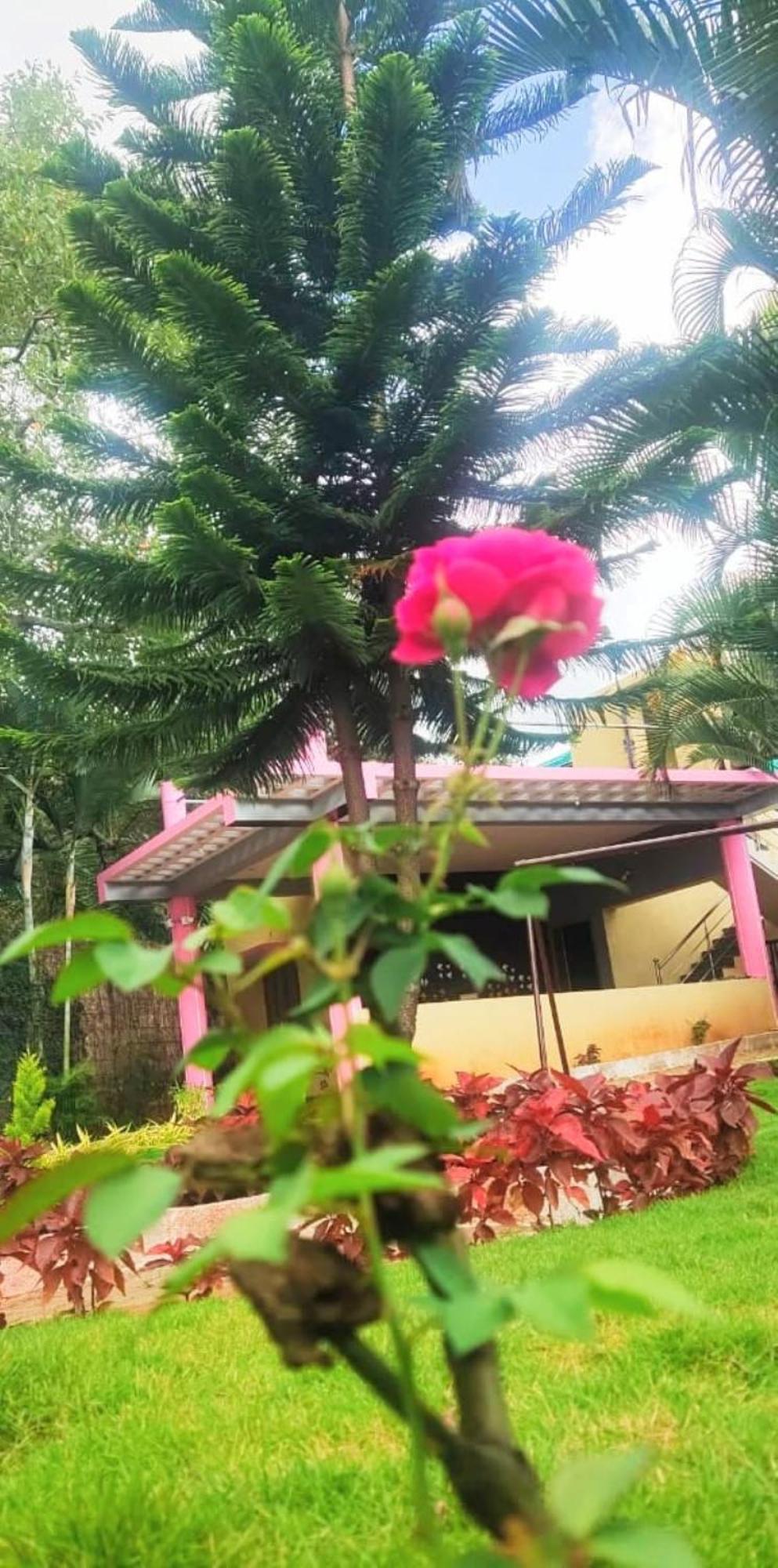 Cloud9villa