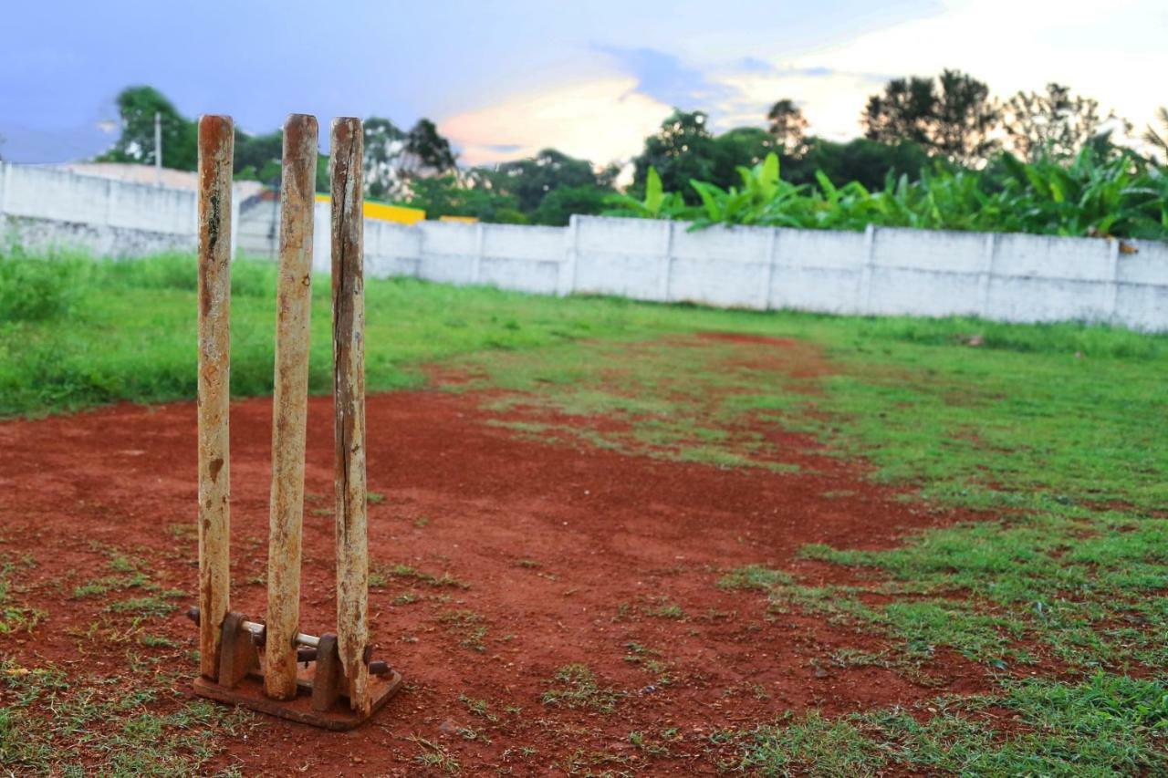 O Nila Yelagiri