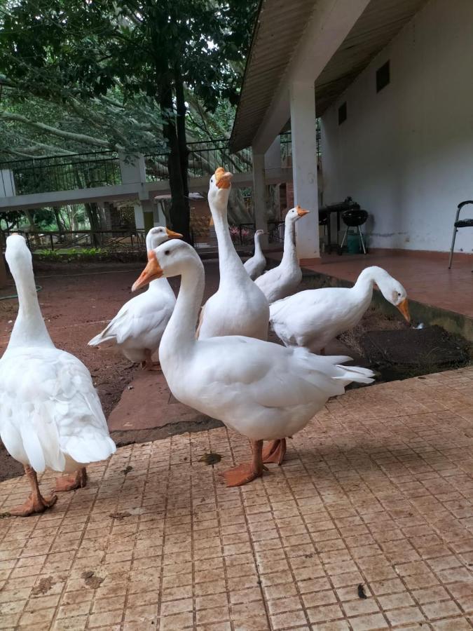 Zeenath Taj Gardens Yelagiri