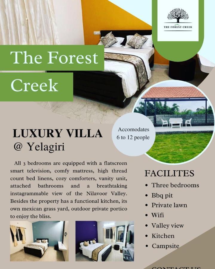 The Forest Creek * Yelagiri